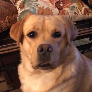 Meet your Posher, Glendora